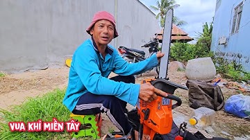 Vua khỉ được tặng máy cưa khi cưa hạ 2 cây Dừa ở quê nhà.