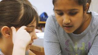 Discovering Gear Ratios In Science