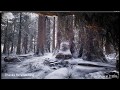 Tutorial for Snow accumulation Winter Forest UE4 (Photorealistic Graphics Redwood Scene by Mawi)
