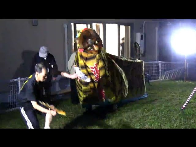 Wonderful! Tiger Dance