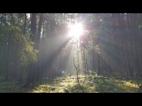 Первый день бабьего лета.