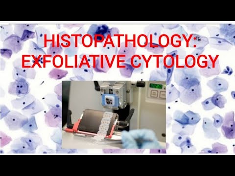 HISTOPATHOLOGY: Exfoliative Cytology