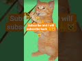 I will subscribe to you