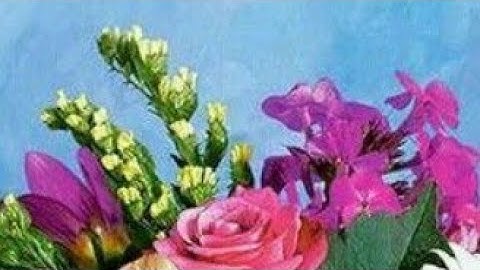 الصفحة(8) سورة البقرة، بصوت القارئ عبد الله أحمد الخلف حفظه الله تعالى ...