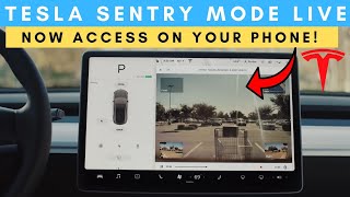 Tesla Sentry Mode Live On Your Smart Phone Launched - First Look!
