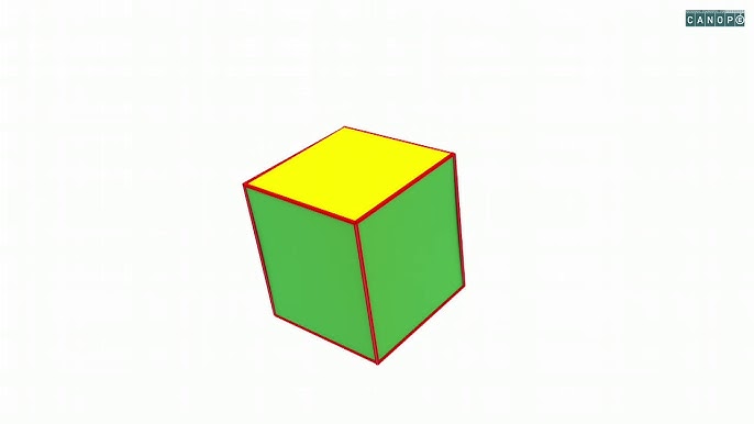 CM1 - MATHS : le cube et le parallélépipède 