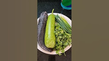 Steamed Snakehead Fish with Bottle Gourd-A Rustic Delight with Authentic Flavors #vietnamesecuisine