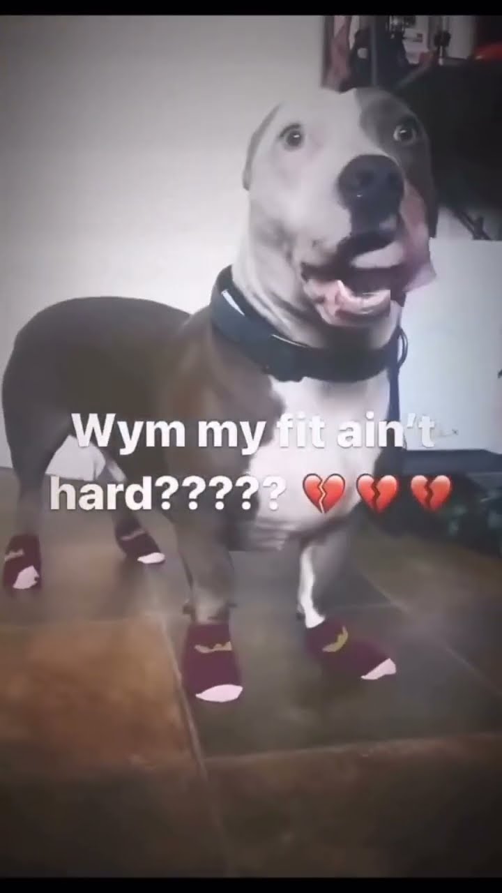 Doggyo like mane the fit not hard dawg