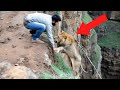1 In A Million Animal Moments Caught On Camera