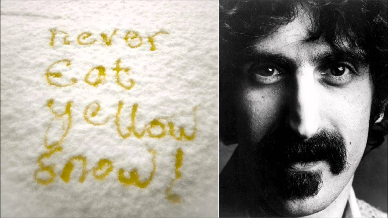 Watch Out Where the Huskies Go YouTube