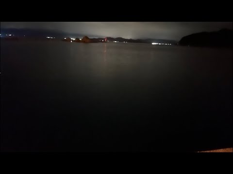 遠征先でエギング！！【釣果あり】