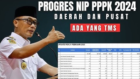 Progres Penetapan NIP PPPK 2024