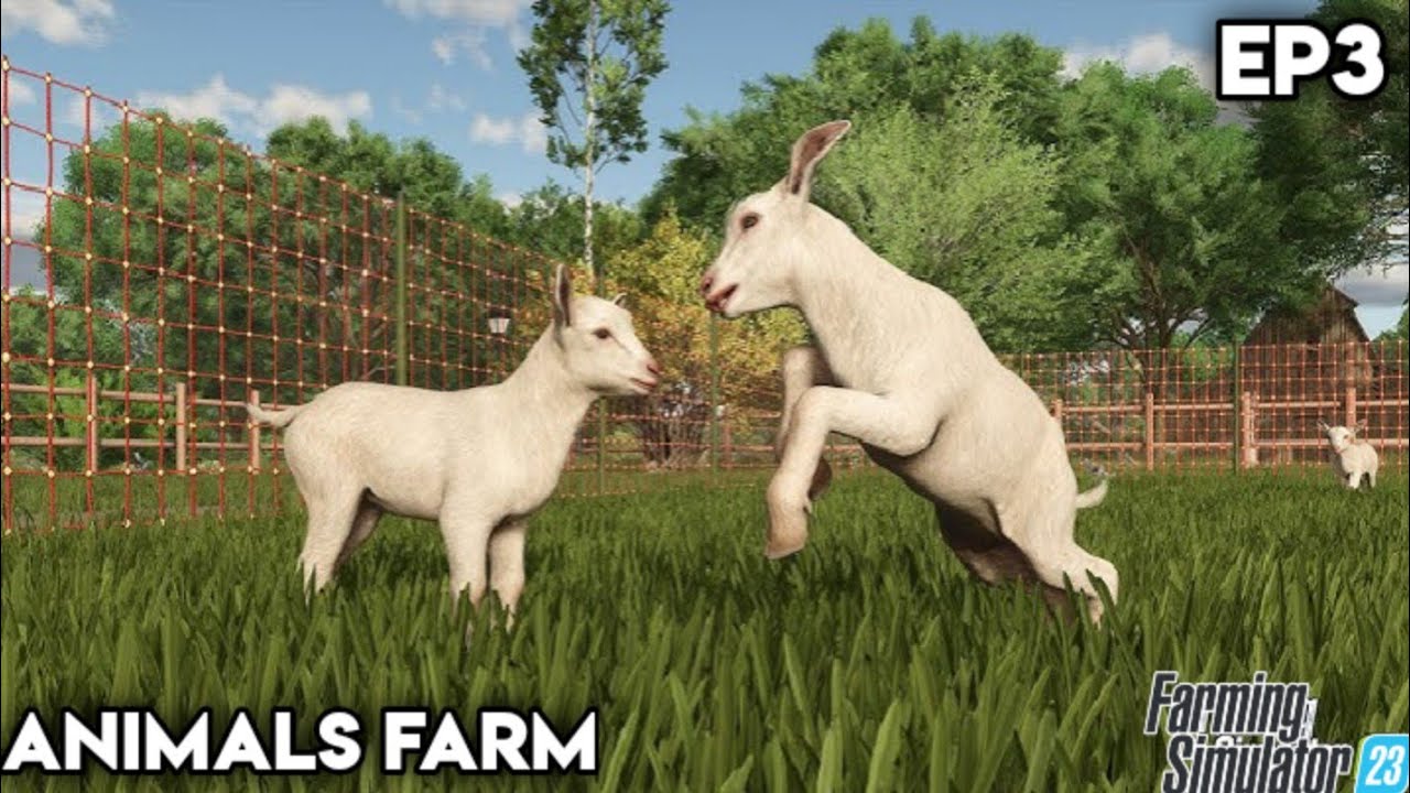 Buying Sheep Farm & Sheeps | Farming Simulator 23 | Animals Farm | Ep3