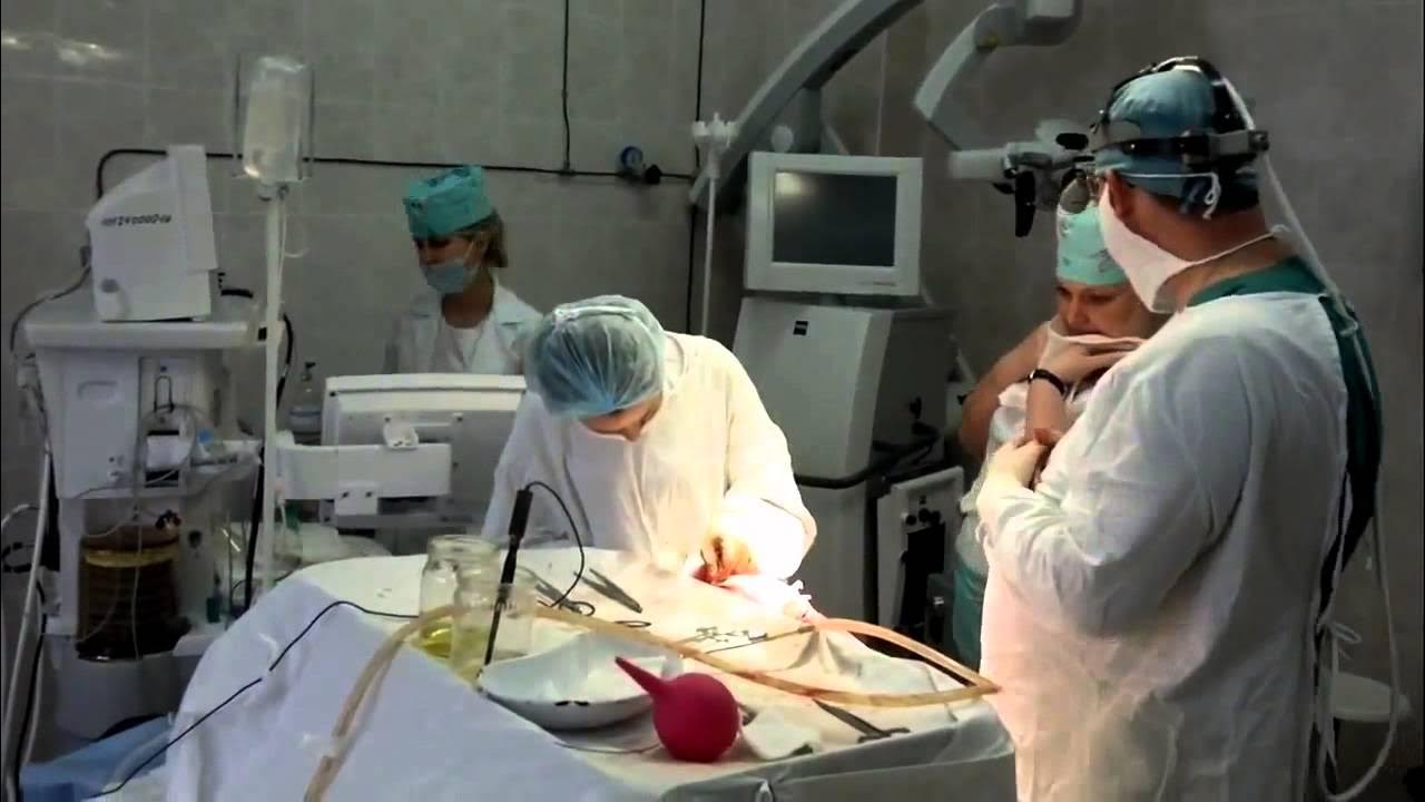 Онкологический центр ростов на дону 14 линия внутри. Ростов 14 линия 63 онкологический институт. Ростов 14 линия 63 онкологический институт. 14 линия онкологический институт запись на прием. Институт онкологии ростов.