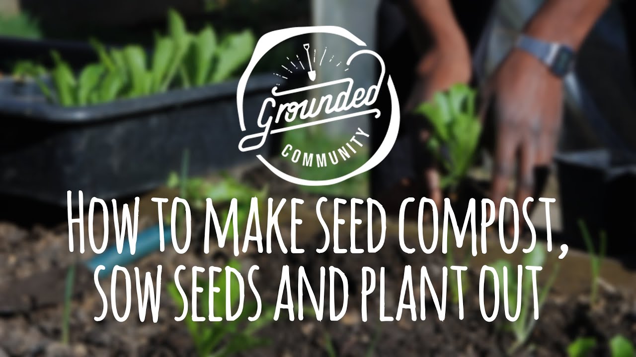 How to make seed compost, sow seeds and plant out your veggies - YouTube