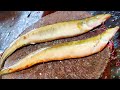 Amazing Eel Fish Cutting Live In Fish Market | Vaam Fish cutting Skills