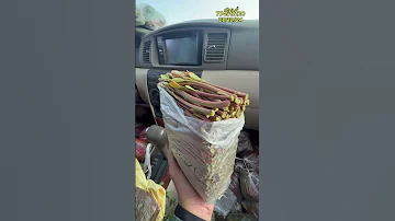 وكالة ابو رموش لأجود انواع القات الأرحبي صنعاء جولة المرور تقاطع الستين سوق ركن الستين 774512120 