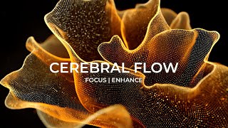 Power Focus 14Hz Beta Waves that Stop Distractions, Focus Music