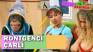 Cilvenazın Hırsızı Yakalandı - Çarli İş Başında 16. Bölüm