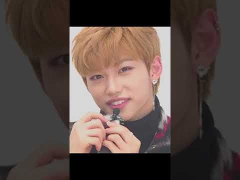 Lee Felix Wakey Wakey Sunshine