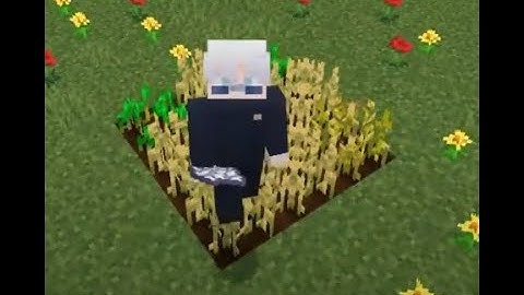 Anti Trample Farm | PocketMine-MP 5.0.0 Plugins [Free Download]