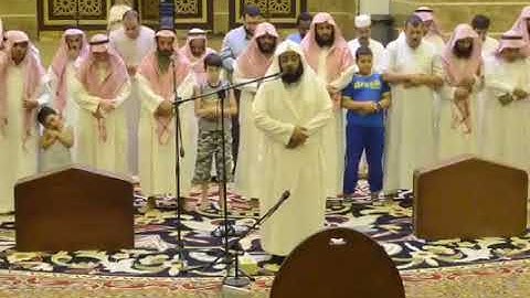 تلاوة هادئة للشيخ بدر التركي    آواخر الأحقاف