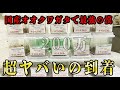国産オオクワガタで２年連続レコードを更新したhxbwh999のクワガタムシがヤバすぎる....