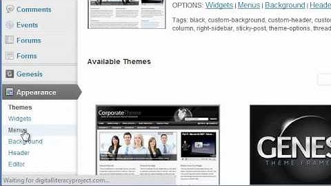 Control WordPress Menus With aMember