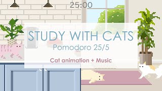 Study with Cats 📸 Morning routine vlog style but cats🐱 | Animation x Pomodoro Timer 25/5 💖 by Pomodoro Cat 78,871 views 1 year ago 1 hour