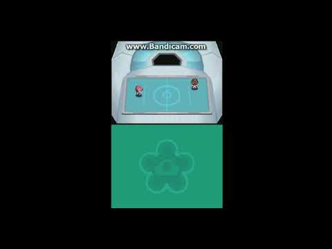 【ポケモンPt】金ネジキ　２－３－３