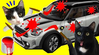 Gatos Luna y Estrella pintan mi coche nuevo / Bromas divertidas a Lola / Videos de gatitos