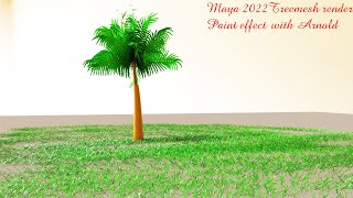 Rendering paint effect treemesh & grass with Arnold renderer in maya 2022 tutorial for VFX animation