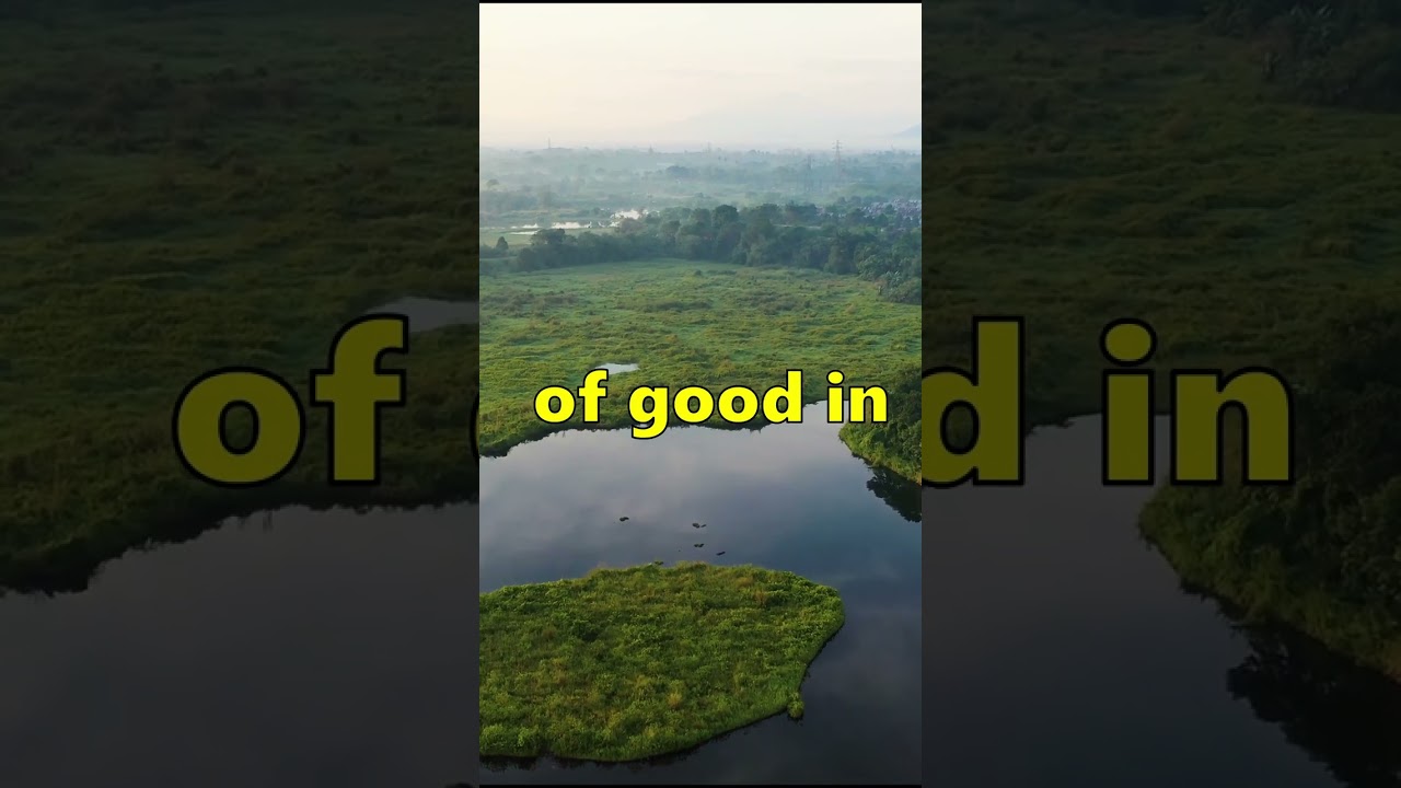 Who is barong? From Indonesian Mythology! 