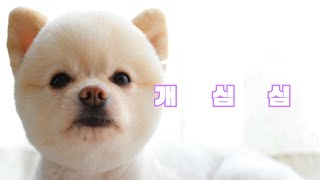 가디우스(Godius) 인던 매트릭스