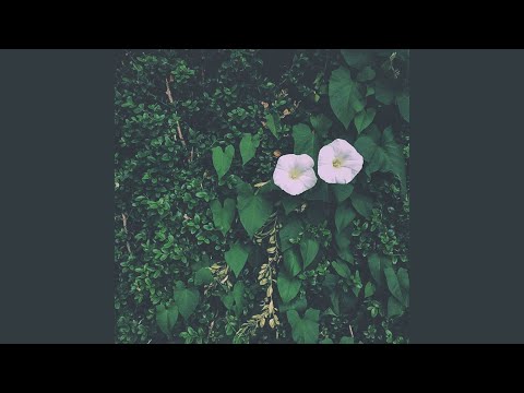 fantompower - Moment Is Eternal. (feat. Ideism)