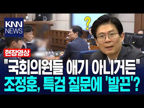 "국회의원들 애기 아니거든" 조정훈, 특검 질문에 '발끈'? / KNN