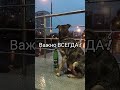 Kasper. Мудрость.