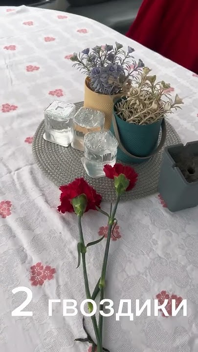 2 гвоздики на яхте - YouTube