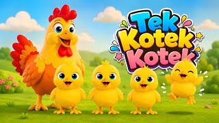 LAGU ANAK 🇮🇩 TEK KOTEK KOTEK | TEK KOTEK KOTEK AYAM | LAGU ANAK INDONESIA