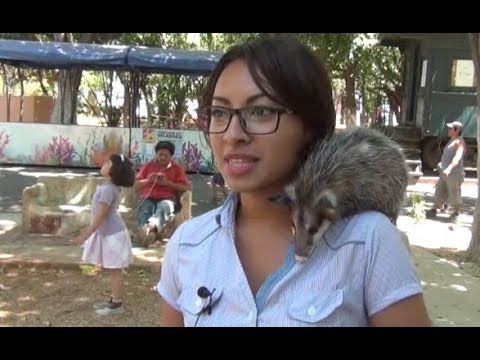 YouTube video