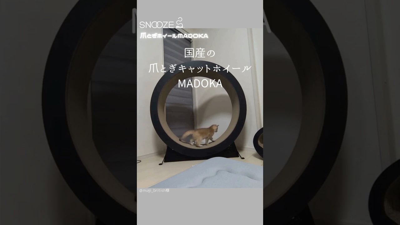 爪とぎホイール・MADOKA