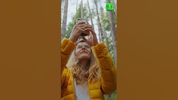 Engage Authentically: Mastering User-Generated Content