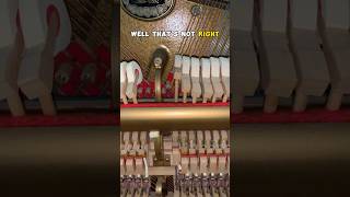 Adjust rubbing piano hammers #piano #pianotuning #music