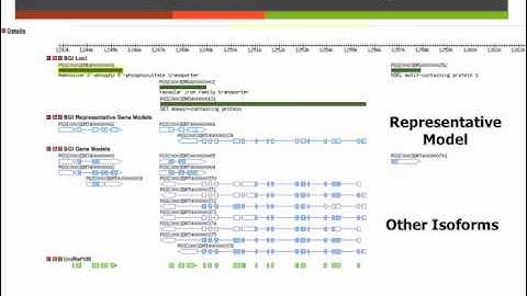 Obtaining Potato Genome Sequence and Using Genome Browser