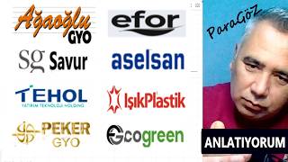 AğaOğlu Gyo - Efor - Savur Gyo - Aselsan - Tehol - Işık Platik - Peker Gyo - EcoGreen Hisse Yorum