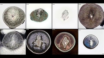 Deep Meditations: A brief history of almost everything in 5 minutes