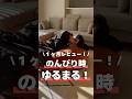 【1ヶ月レビュー】のんびり時ゆるまる