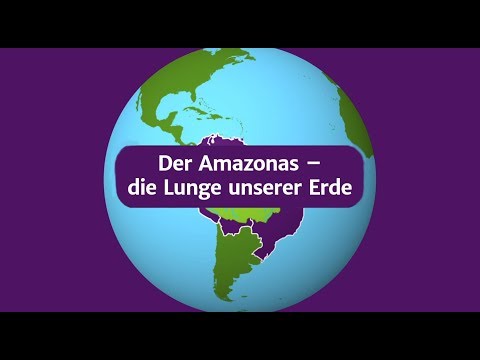 Video: Wie hoch sind die Bäume im Amazonas-Regenwald?