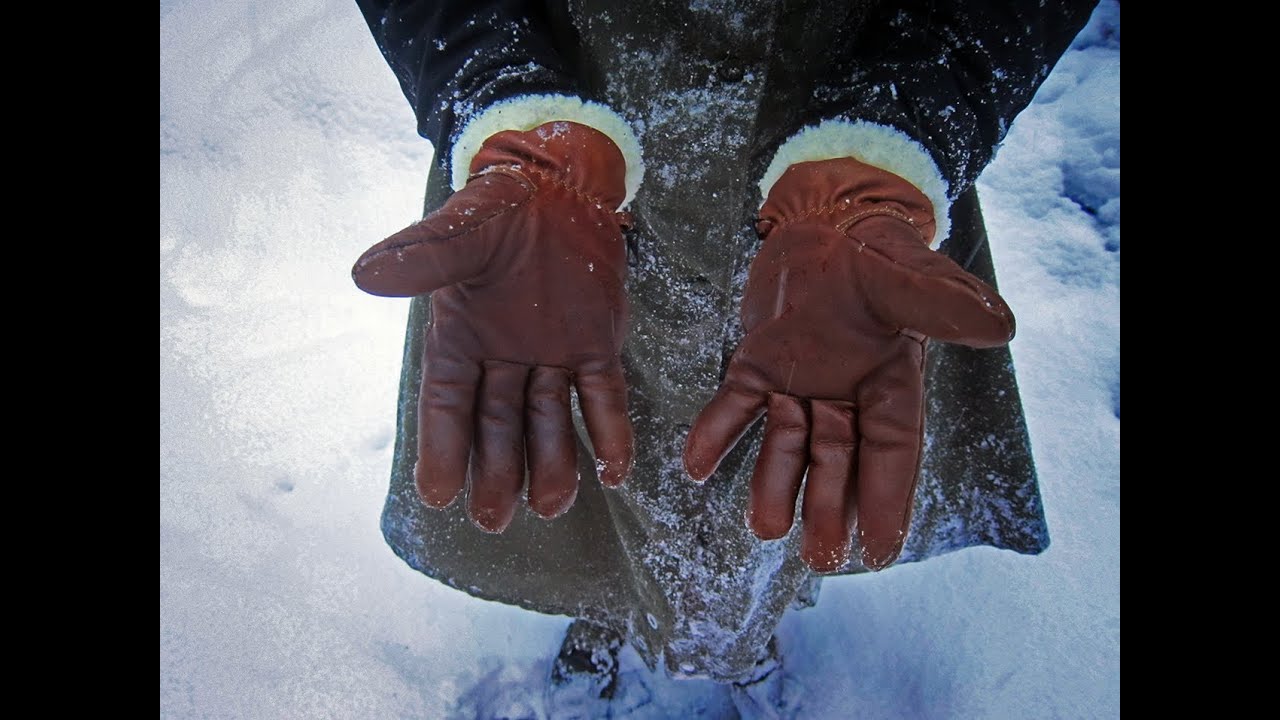 Test des gants Venitex.