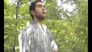 AVI Microsoft DV PAL